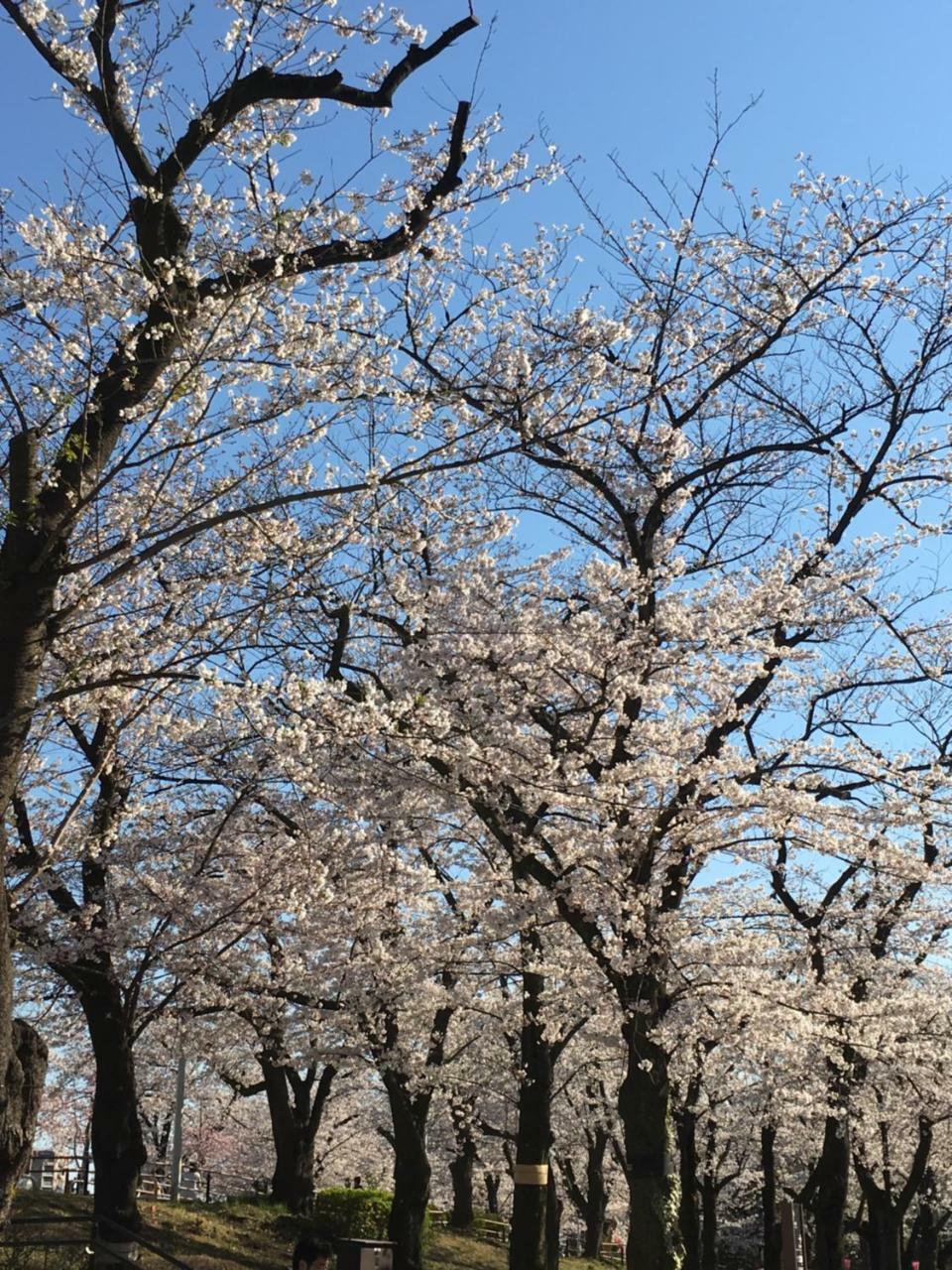 Ryokan Nakadaya Tokyo Luaran gambar